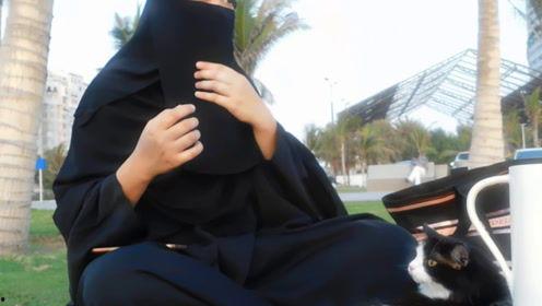 娱乐吃瓜君19,揭秘娱乐圈最新热点事件