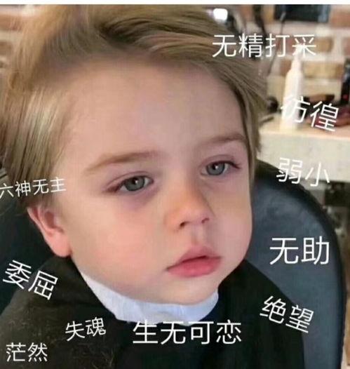 微信吃瓜表情包是什么意思呢