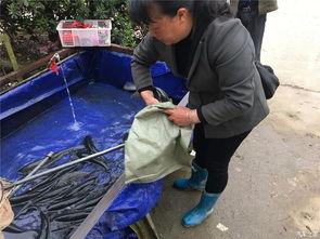 五一吃瓜群众网入口,揭秘热门话题背后的真相与笑料